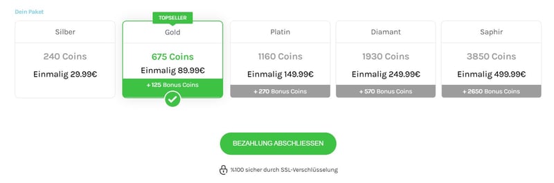 Testbericht - catchify.de Kosten