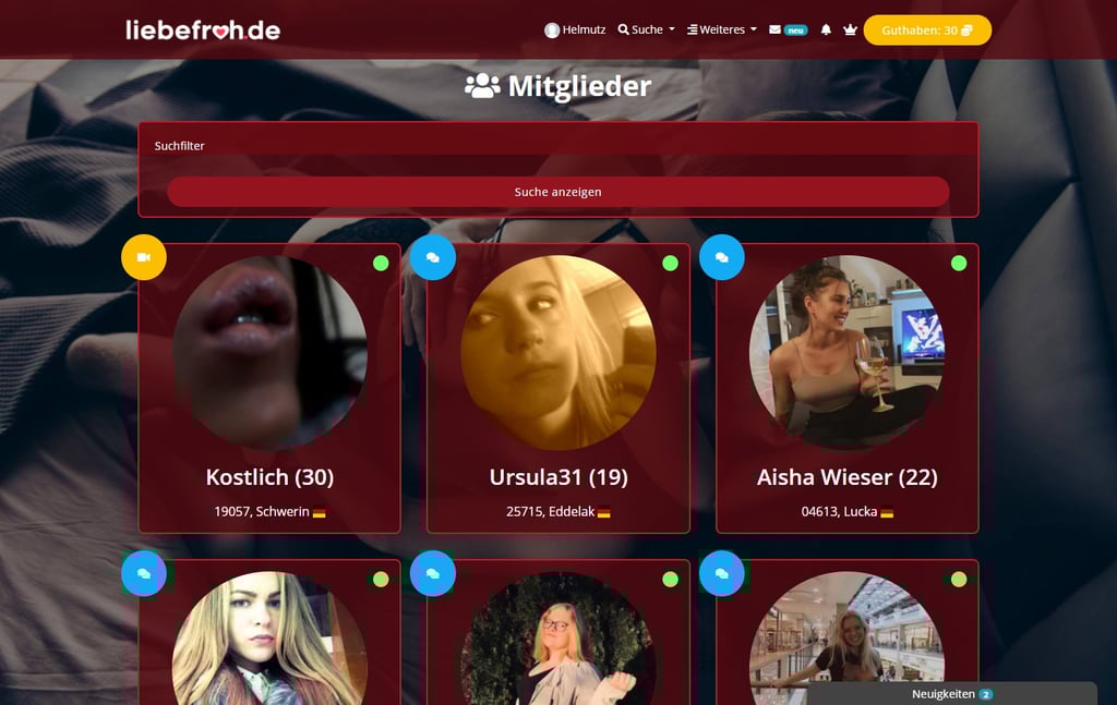 Testbericht - LiebeFroh.de Abzocke - Mitgliederbereich
