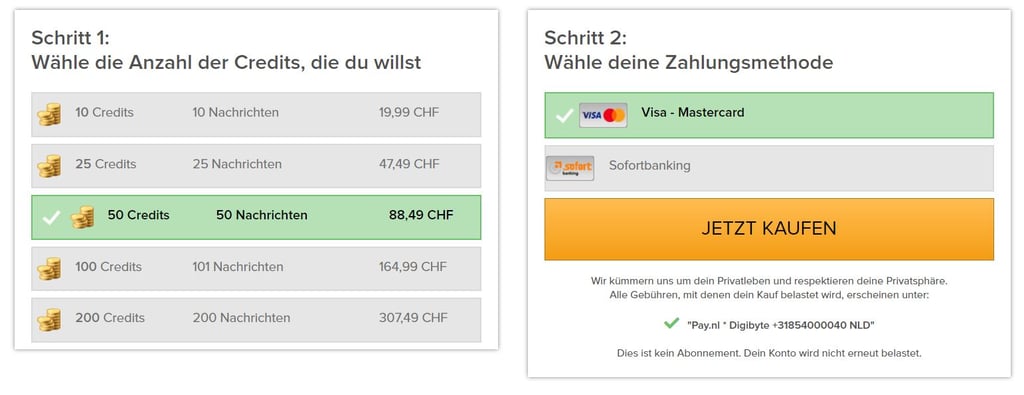 Testbericht - schweizerlust.com Kosten