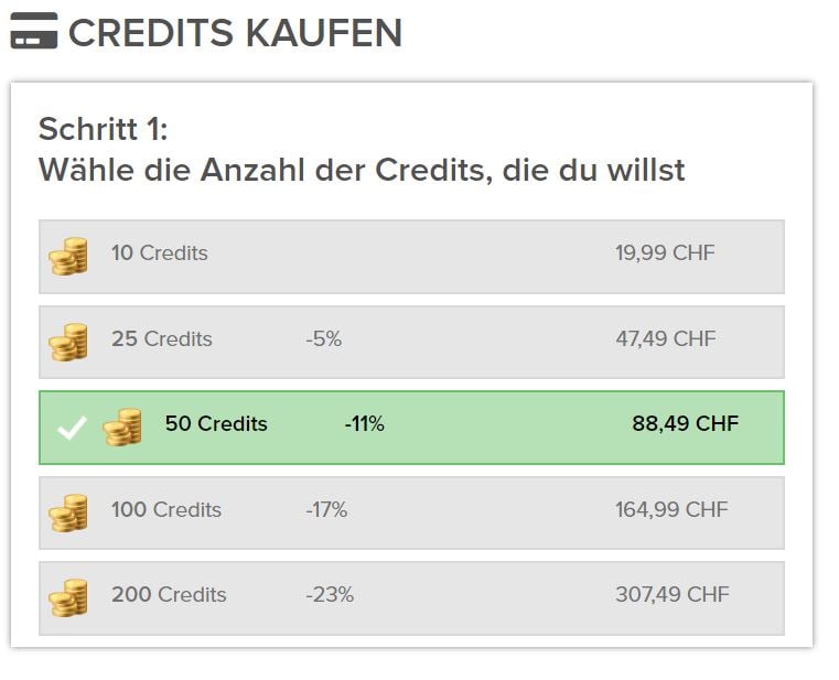 Testbericht - schweizertreff.com Kosten